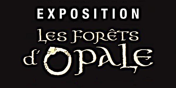 Salons et expositions : Exposition Forêts d’Opale – Galerie Napoléon