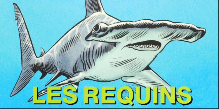 Salons et expositions : Exposition Requins – Quai des Bulles 2021