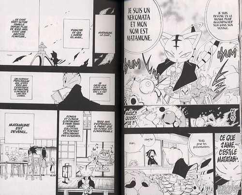 Une planche extraite de SHAMAN KING #19 - Shaman King