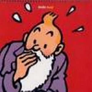 Couverture de CALENDRIER 2007 # - Calendrier 2007 Tintin
