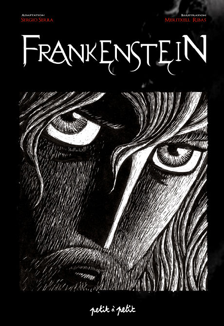 Couverture de Frankenstein